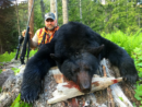 Bear Hunting Montana