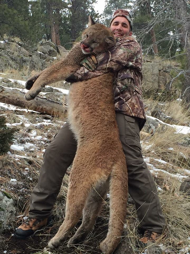 Mountain Lion Hunting - Western Timberline Outfitters