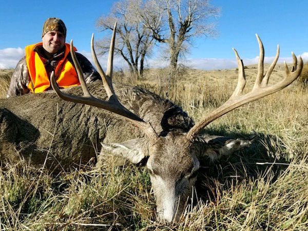 Montana Mule Deer - Western Timberline Outfitters