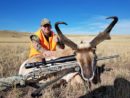 Antelope Hunting Montana