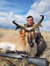 Antelope Hunting Montana