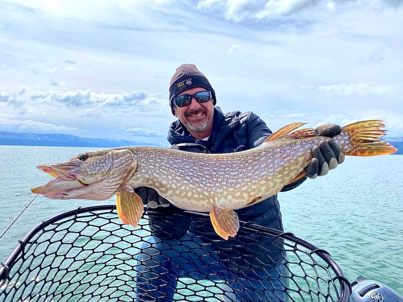 21+ Flathead Lake Montana Fishing