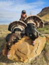 Turkey Montana
